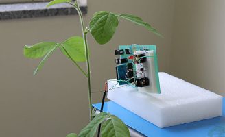 Tecnologia de sinais vibratórios ajuda a combater percevejos-praga nas lavouras
