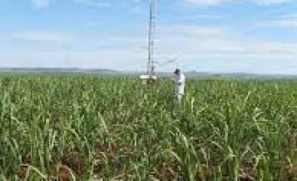 Uma ferramento para analisar o plantio da cana-de-açúcar no sequestro de carbono e nos recursos hídricos