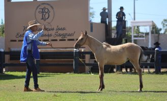 Semana do Cavalo mobiliza o centro-oeste brasileiro