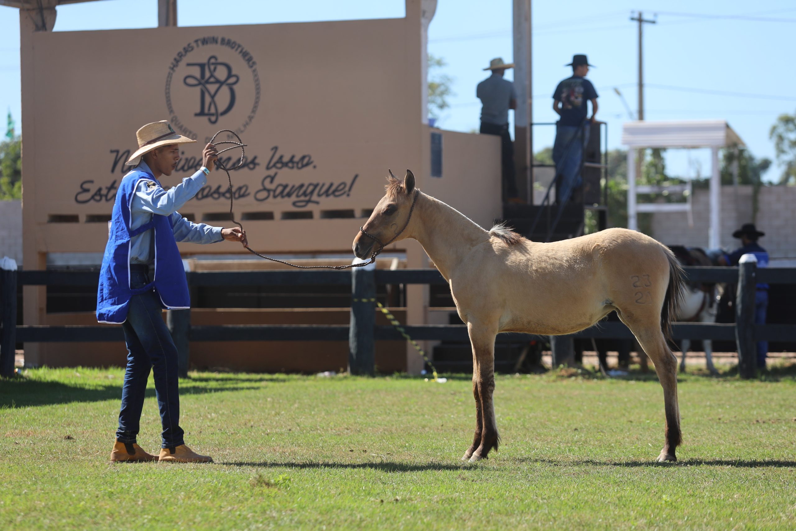 Semana do Cavalo mobiliza o centro-oeste brasileiro