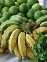 Prorrogado o prazo de inscrição para agricultores familiares de Pernambuco participarem do Programa Estadual de Aquisição de Alimentos da Agricultura Familiar