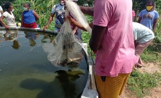 A produção de alimento através dos sisteminhas da Embrapa vão beneficiar comunidades do nordeste