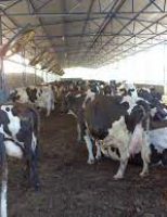 Oportunidade para o produtor rural aprender a melhor forma de manejar os resíduos na propriedade leiteira