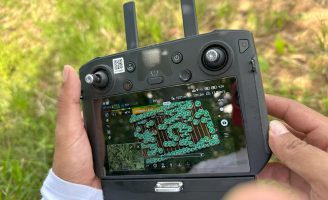 Inteligência artificial identifica espécies florestais de valor comercial no meio da floresta