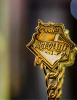 Quem quiser participar do Troféu Agroleite 2024 já pode se inscrever