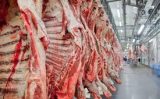 O estado do Mato Grosso atinge recorde histórico no volume de abate bovinos