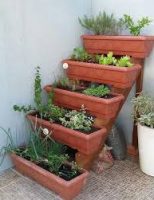 Orientações para fazer uma horta em um apartamento