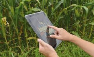 Modelo de venda direta pode revolucionar os negócios do agro no Brasil