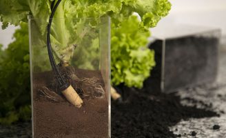 Um sensor para irrigação diz a hora certa de irrigar e a quantidade de água que deve ser usada