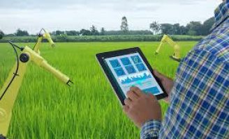 Mais eficiência do manejo integrado de pragas com uso de Tecnologias digitais