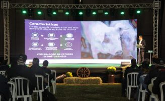 Uma das mais tradicionais feiras de gado holandês vai acontecer no mês que vem