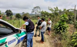 Pernambuco começa a fiscalizar medidas de combate à mosca-dos-estábulos