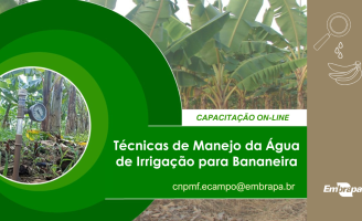 Curso vai ensinar a melhor maneira de promover a irrigação do plantio de banana