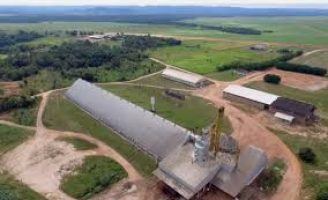 Fazenda é arrematada por R$ 24,5 milhões