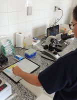 Como usar o aplicativo de exame andrológico de bovinos