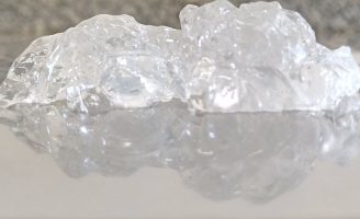 Pesquisadores fazem gelatina de pele de tambaqui