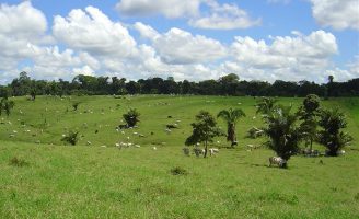 Um relatório sobre os conflitos no campo em Pernambuco