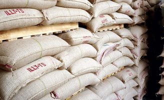 Grãos de cafés especiais exigem cuidados especiais no armazenamento