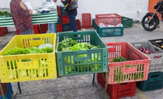 Produtores orgânicos de Pernambuco precisam se recadastrar