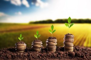 O Governo brasileiro perde protagonismos para financiar o agronegócio