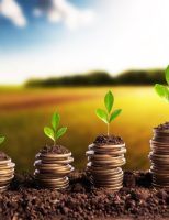 O Governo brasileiro perde protagonismos para financiar o agronegócio