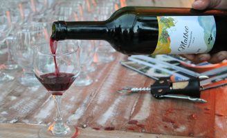 Já é real a produção de vinhos finos no agreste pernambucano
