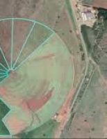 Como aproveitar uma área de 5 hectares para fazer piquetes para o gado