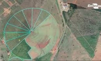 Como aproveitar uma área de 5 hectares para fazer piquetes para o gado