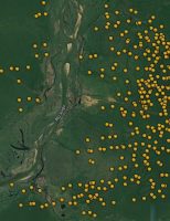 O impacto das queimadas no meio ambiente brasileiro