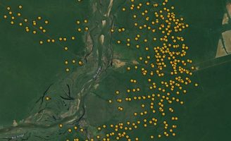 O impacto das queimadas no meio ambiente brasileiro