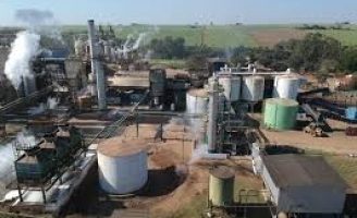 Previsões de crescimento para a quantidade de usinas de produção de etanol no Brasil
