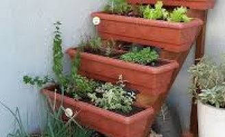 Com dedicação e empenho faça uma horta em sua casa ou apartamento