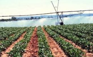 Irrigação com pivô central ajuda a reduzir os efeitos da falta de chuvas por que passa o Brasil