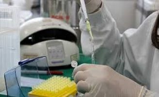 Metabolismo de plantas pode ser acompanhado com uso da ressonância magnética