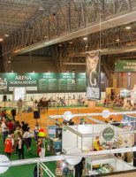 Está chegando a hora da 31ª Agrinordeste em Pernambuco