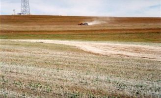 Região do Motopiba aumenta a produção de soja com mais calcário na adubação