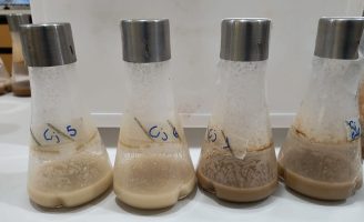 Pesquisadores encontraram uma forma mais barata de produzir biopesticida