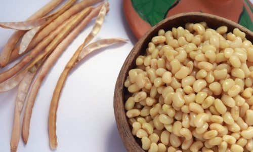 A primeira cultivar brasileira do feijão de corda manteiguinha