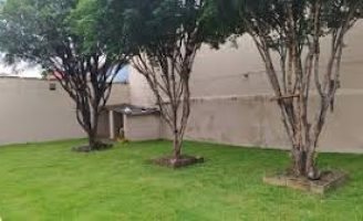 Dicas de como fazer um gramado no quintal de casa