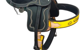 O jeito certo de comprar uma sela para as cavalgadas no campo