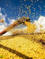 Pesquisa revela esperança de crescimento para o agro no primeiro semestre de 2025