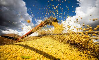 Pesquisa revela esperança de crescimento para o agro no primeiro semestre de 2025