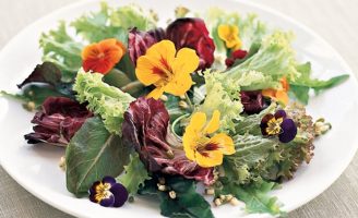 Receita – Salada de abobrinha Crua com flores comestíveis