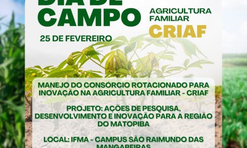 Um dia para valoriza a agricultura familiar na região do Matopiba