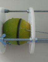 O controle do calor nas frutas no pós-colheita ajuda a reduzir as perdas