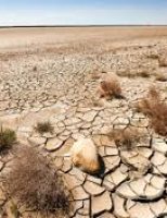 Combate a desertificação do semiárido brasileiro ganha 60 milhões em investimentos