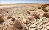Combate a desertificação do semiárido brasileiro ganha 60 milhões em investimentos