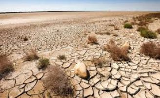 Combate a desertificação do semiárido brasileiro ganha 60 milhões em investimentos