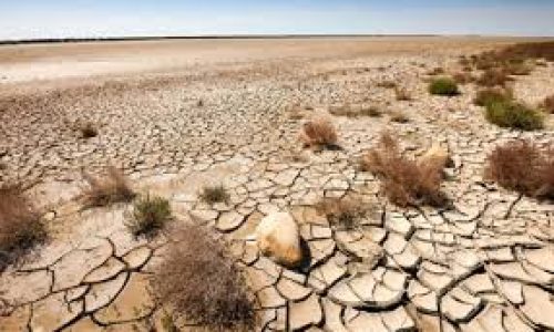 Ceará faz estudo para prevenir a desertificação da caatinga