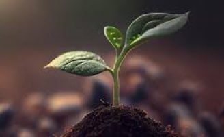 Oportunidade para graduação em gestão ambiental à distância